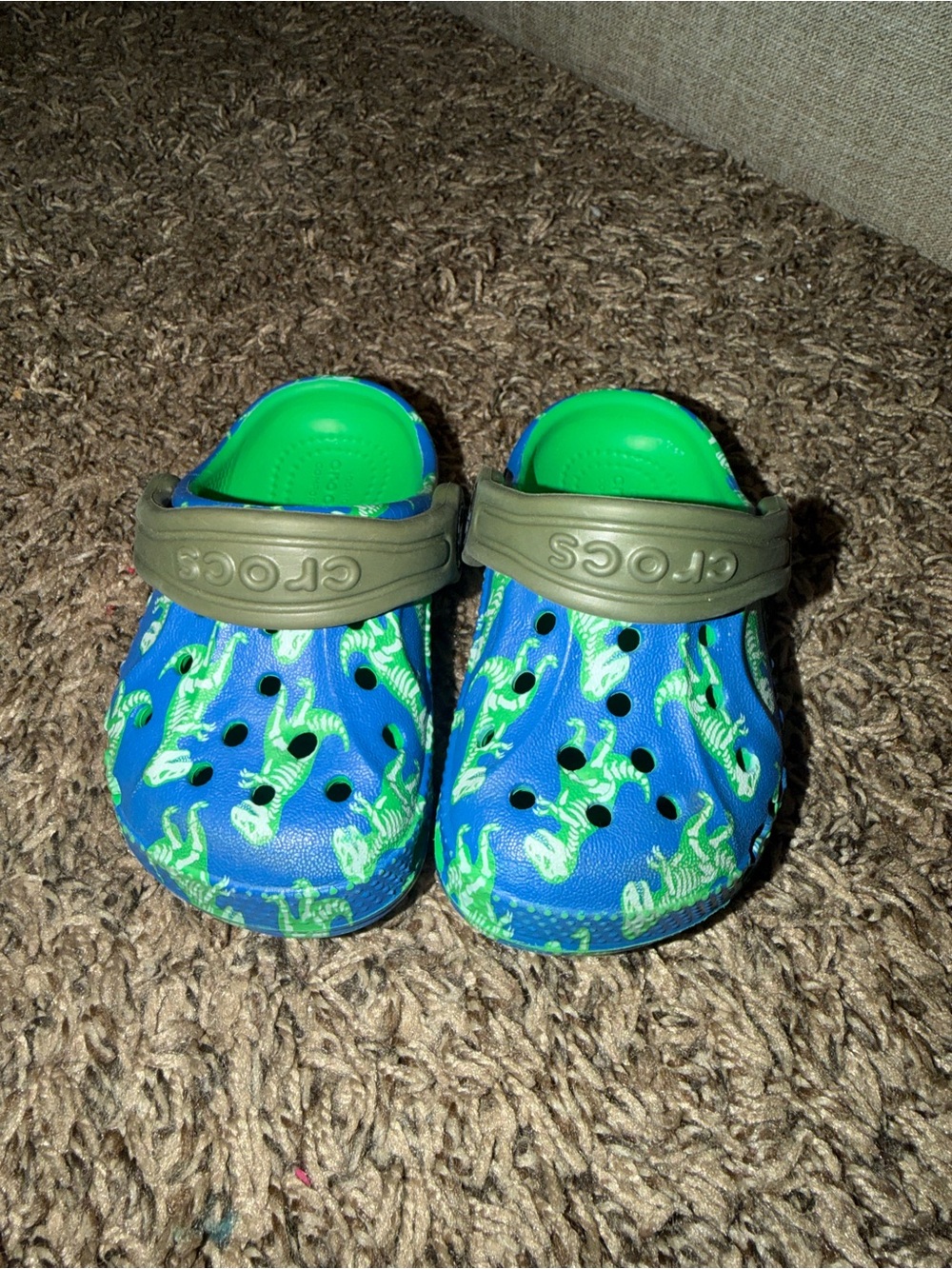 Crocs Kids' Blue & Green Dinosaur Clogs